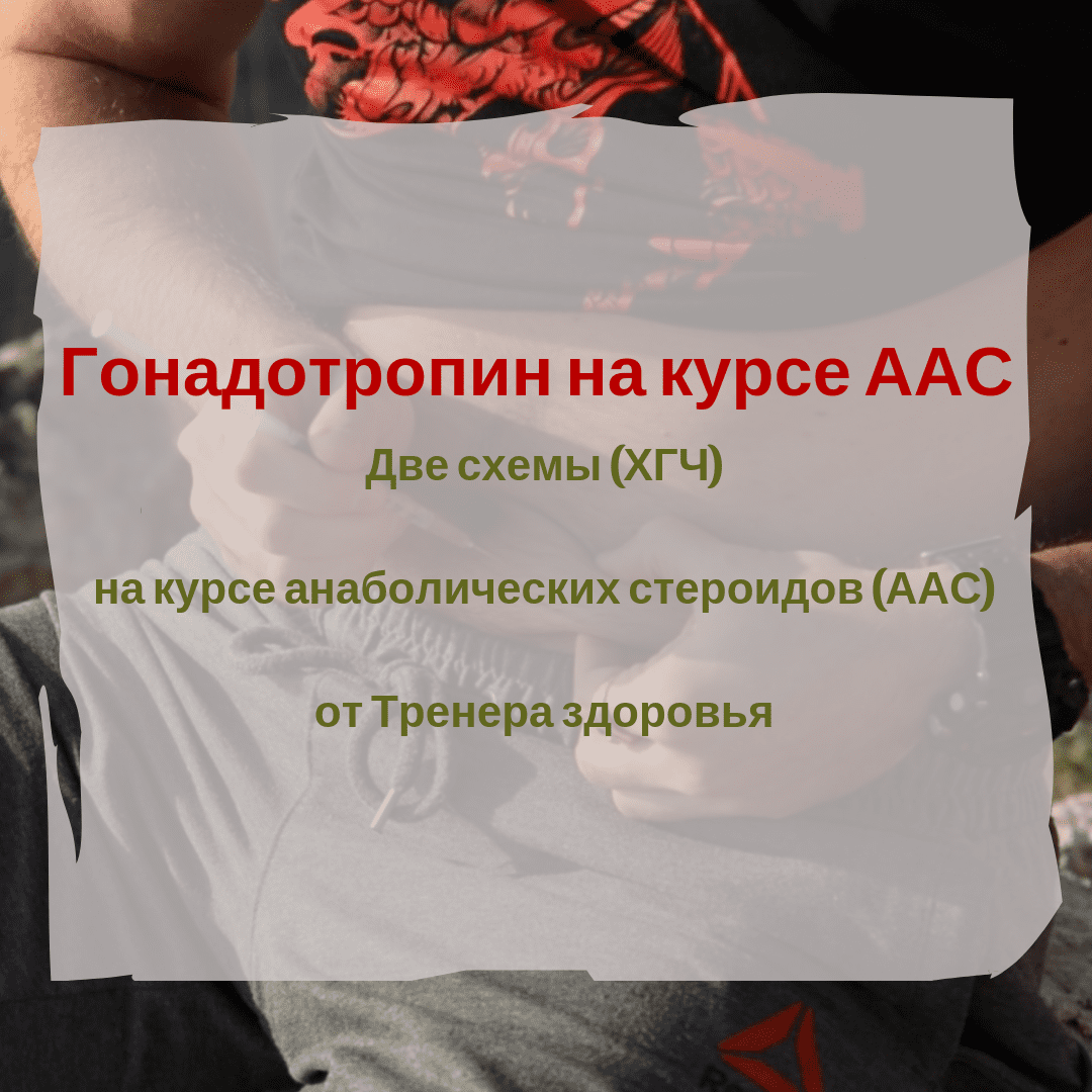 Гонадотропин хорионический на курсе и после курса стероидов