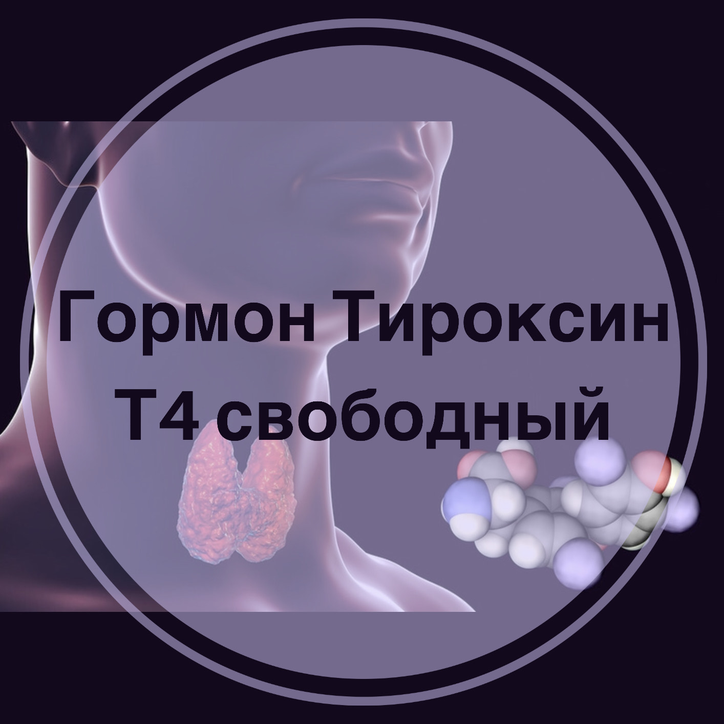 Гормон щитовидной железы Т4