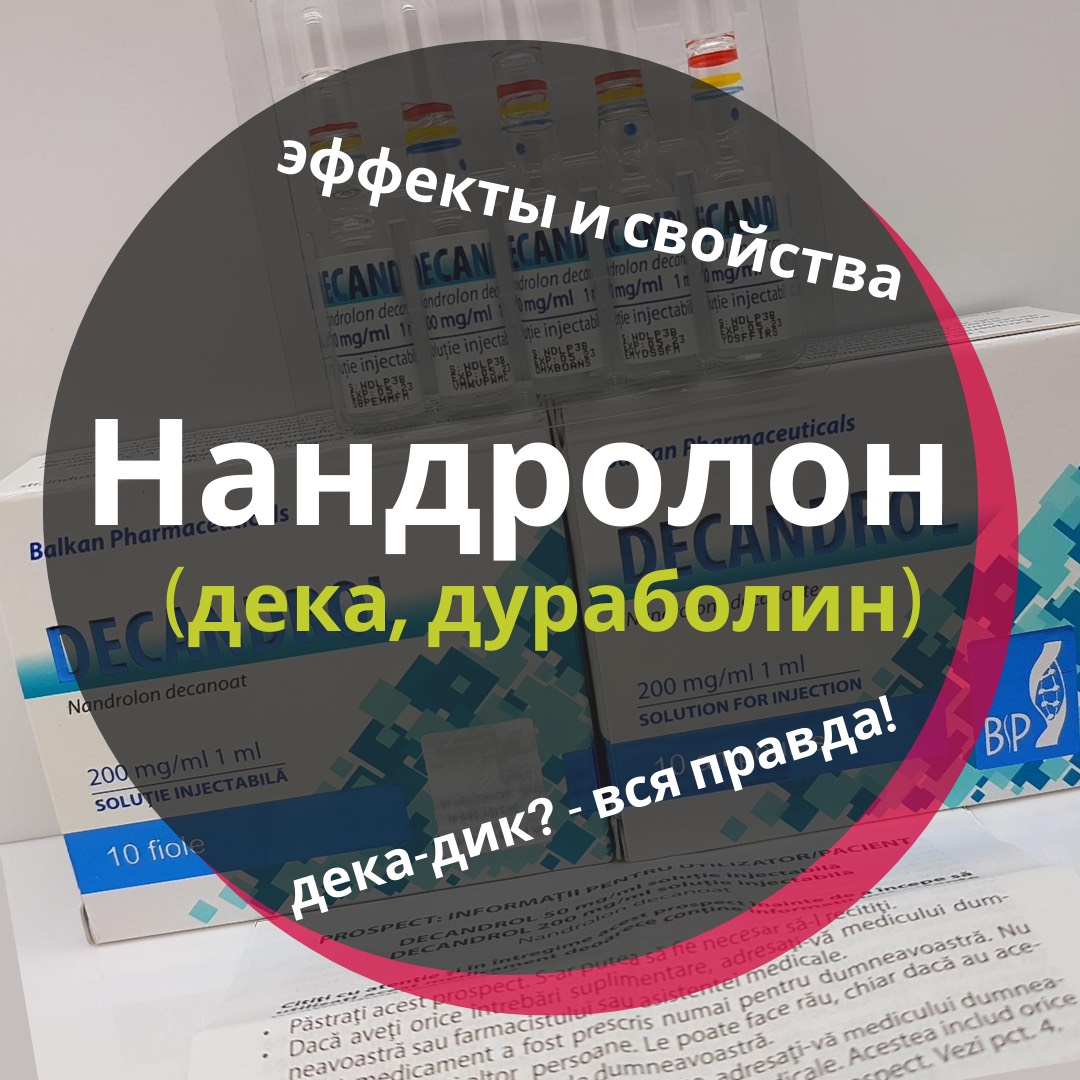 Нандролон деканоат, дека: как принимать и проходить курс