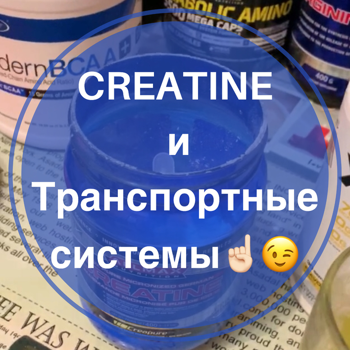 Креатин и его транспорт. В чем фактор роста?