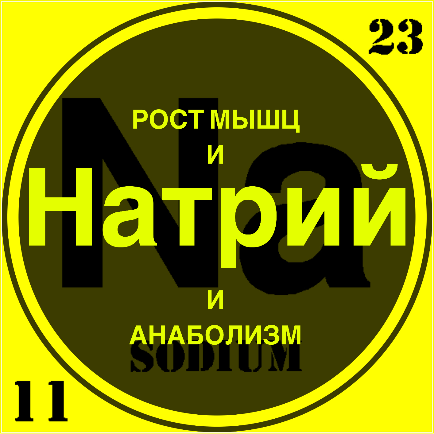 Натрий - особые свойства. Анаболизм, рост мышц и анаболики (стероиды).
